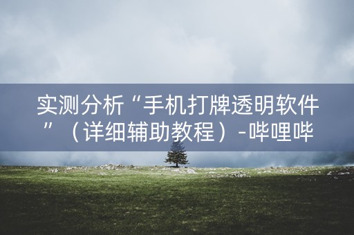 实测分析“手机打牌透明软件”（详细辅助教程）-哔哩哔哩