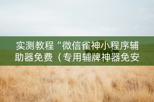 实测教程“微信雀神小程序辅助器免费（专用辅牌神器免安装）