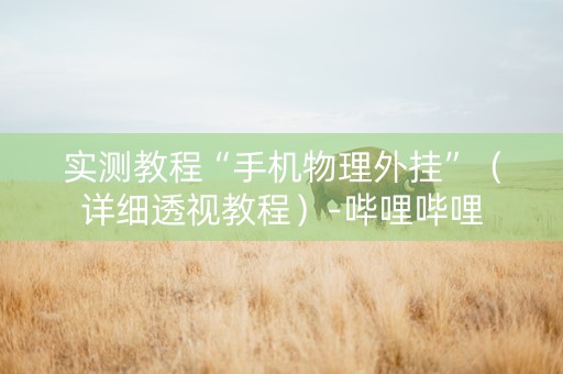 实测教程“手机物理外挂”（详细透视教程）-哔哩哔哩