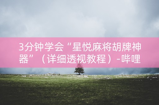 3分钟学会“星悦麻将胡牌神器”（详细透视教程）-哔哩哔哩