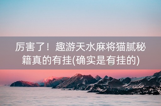 厉害了！趣游天水麻将猫腻秘籍真的有挂(确实是有挂的)