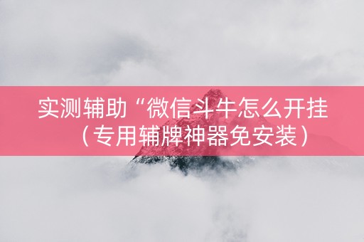 实测辅助“微信斗牛怎么开挂（专用辅牌神器免安装）