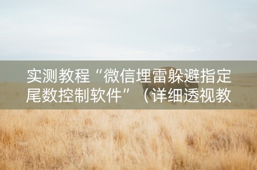 实测教程“微信埋雷躲避指定尾数控制软件”（详细透视教程）-哔哩哔哩