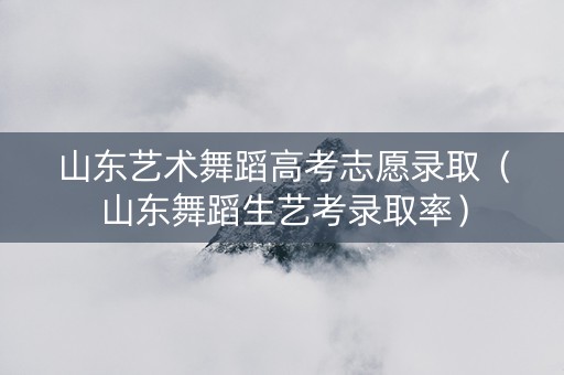 山东艺术舞蹈高考志愿录取（山东舞蹈生艺考录取率）