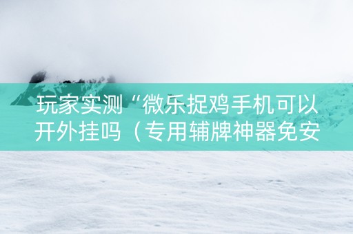 玩家实测“微乐捉鸡手机可以开外挂吗（专用辅牌神器免安装）
