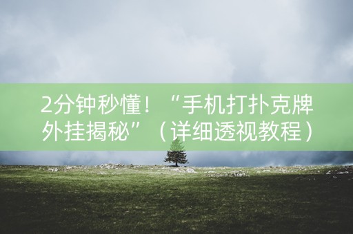 2分钟秒懂！“手机打扑克牌外挂揭秘”（详细透视教程）-哔哩哔哩