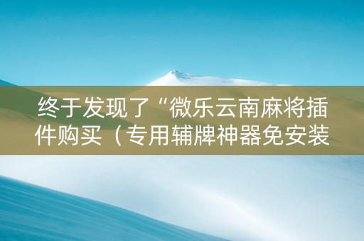 终于发现了“微乐云南麻将插件购买（专用辅牌神器免安装）