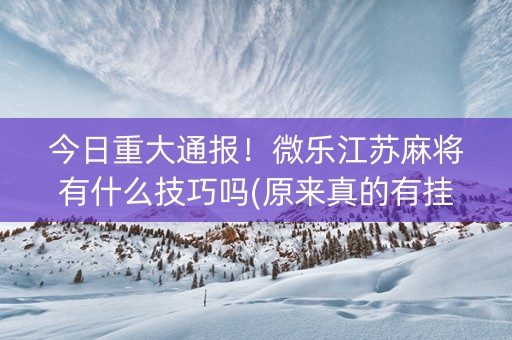 今日重大通报！微乐江苏麻将有什么技巧吗(原来真的有挂)