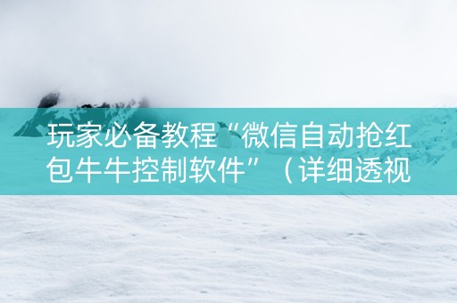 玩家必备教程“微信自动抢红包牛牛控制软件”（详细透视教程）-哔哩哔哩