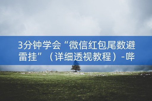 3分钟学会“微信红包尾数避雷挂”（详细透视教程）-哔哩哔哩