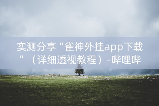 实测分享“雀神外挂app下载”（详细透视教程）-哔哩哔哩