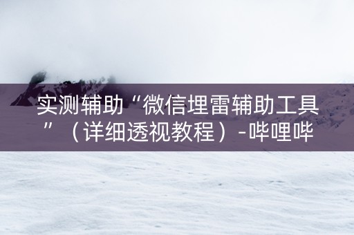 实测辅助“微信埋雷辅助工具”（详细透视教程）-哔哩哔哩