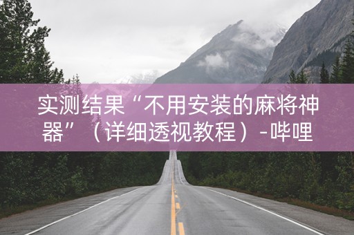 实测结果“不用安装的麻将神器”（详细透视教程）-哔哩哔哩
