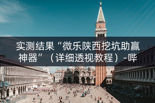 实测结果“微乐陕西挖坑助赢神器”（详细透视教程）-哔哩哔哩