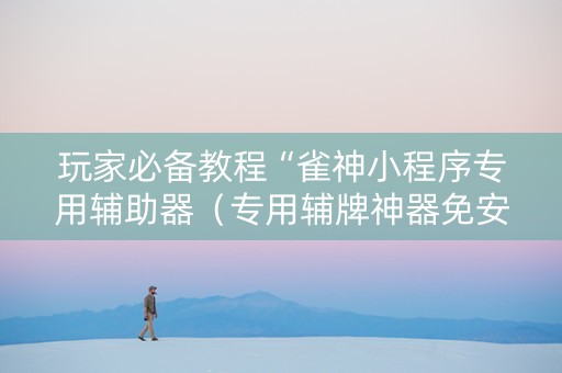 玩家必备教程“雀神小程序专用辅助器（专用辅牌神器免安装）