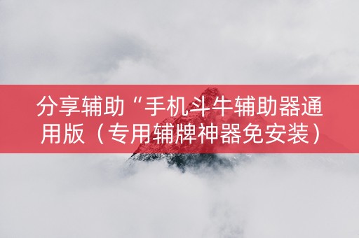 分享辅助“手机斗牛辅助器通用版（专用辅牌神器免安装）