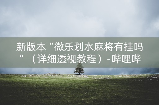 新版本“微乐划水麻将有挂吗”（详细透视教程）-哔哩哔哩