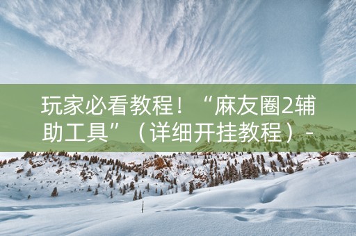 玩家必看教程！“麻友圈2辅助工具”（详细开挂教程）-哔哩哔哩