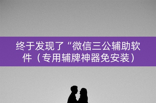 终于发现了“微信三公辅助软件（专用辅牌神器免安装）