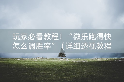 玩家必看教程！“微乐跑得快怎么调胜率”（详细透视教程）-哔哩哔哩
