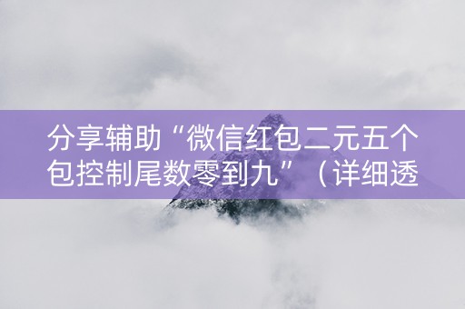 分享辅助“微信红包二元五个包控制尾数零到九”（详细透视教程）-哔哩哔哩