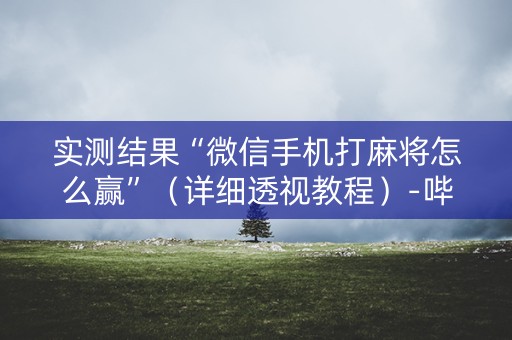 实测结果“微信手机打麻将怎么赢”（详细透视教程）-哔哩哔哩