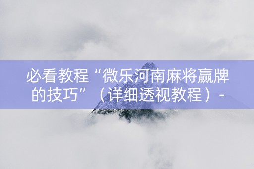 必看教程“微乐河南麻将赢牌的技巧”（详细透视教程）-哔哩哔哩