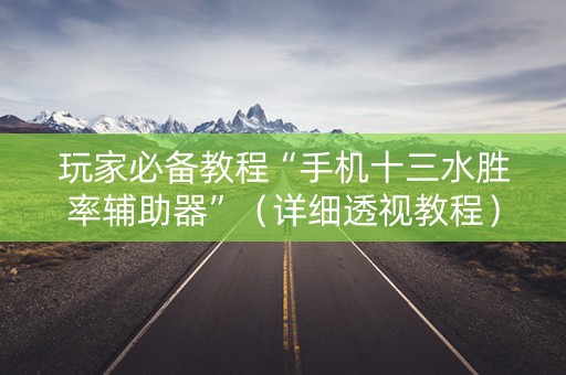 玩家必备教程“手机十三水胜率辅助器”（详细透视教程）-哔哩哔哩