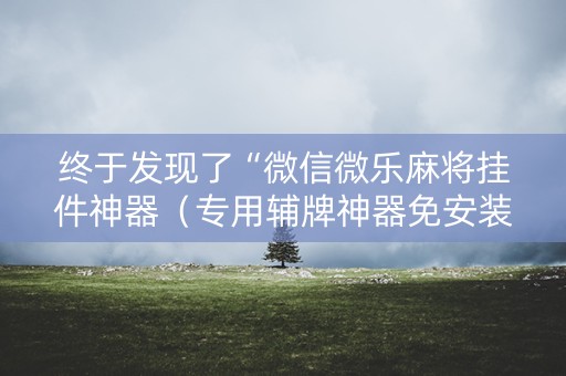 终于发现了“微信微乐麻将挂件神器（专用辅牌神器免安装）