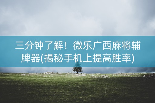 三分钟了解！微乐广西麻将辅牌器(揭秘手机上提高胜率)