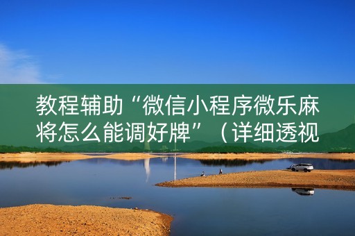 教程辅助“微信小程序微乐麻将怎么能调好牌”（详细透视教程）-哔哩哔哩