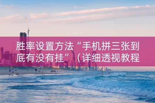 胜率设置方法“手机拼三张到底有没有挂”（详细透视教程）-哔哩哔哩