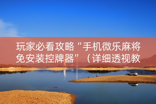 玩家必看攻略“手机微乐麻将免安装控牌器”（详细透视教程）-哔哩哔哩