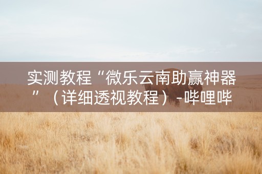 实测教程“微乐云南助赢神器”（详细透视教程）-哔哩哔哩