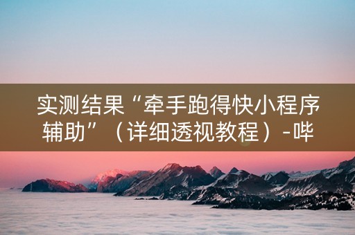 实测结果“牵手跑得快小程序辅助”（详细透视教程）-哔哩哔哩