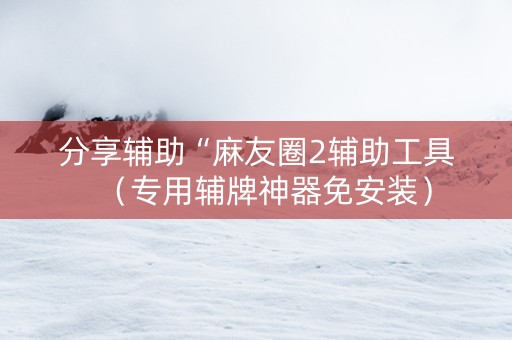 分享辅助“麻友圈2辅助工具（专用辅牌神器免安装）