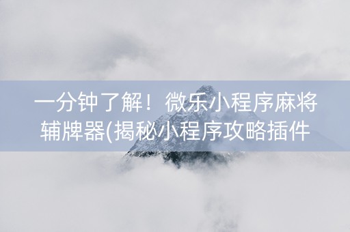 一分钟了解！微乐小程序麻将辅牌器(揭秘小程序攻略插件)
