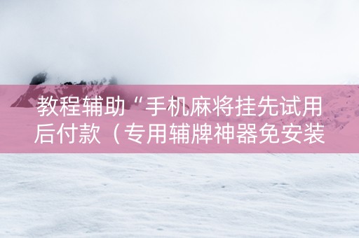 教程辅助“手机麻将挂先试用后付款（专用辅牌神器免安装）