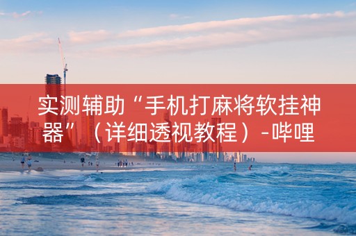 实测辅助“手机打麻将软挂神器”（详细透视教程）-哔哩哔哩