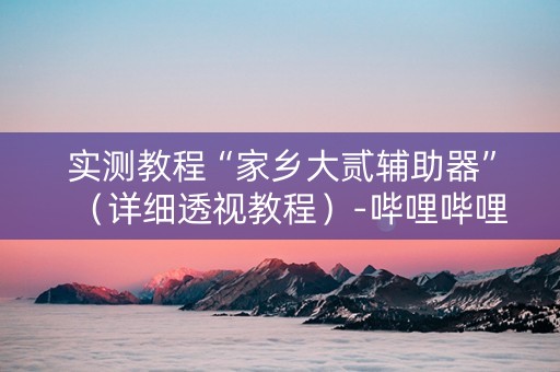 实测教程“家乡大贰辅助器”（详细透视教程）-哔哩哔哩