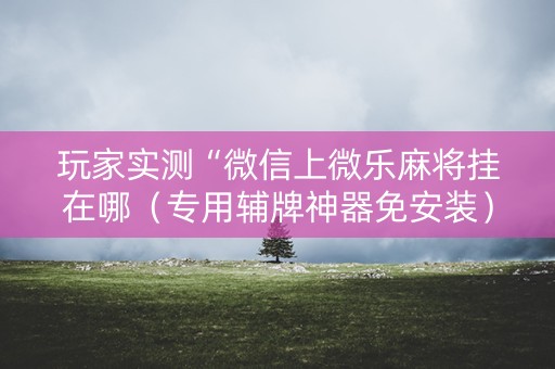 玩家实测“微信上微乐麻将挂在哪（专用辅牌神器免安装）