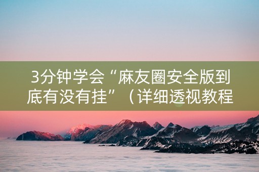 3分钟学会“麻友圈安全版到底有没有挂”（详细透视教程）-哔哩哔哩