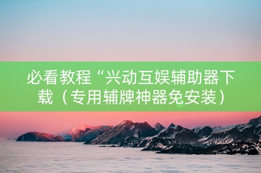 必看教程“兴动互娱辅助器下载（专用辅牌神器免安装）