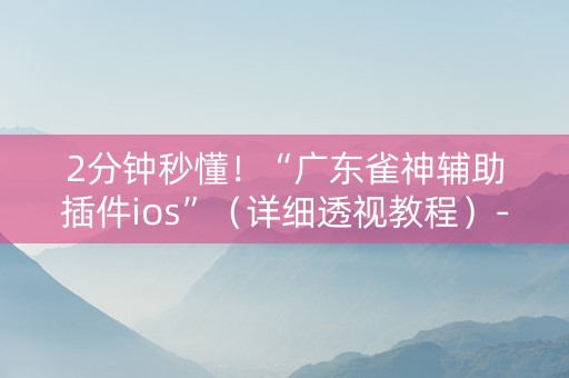 2分钟秒懂！“广东雀神辅助插件ios”（详细透视教程）-哔哩哔哩