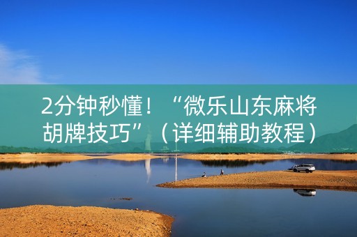 2分钟秒懂！“微乐山东麻将胡牌技巧”（详细辅助教程）-哔哩哔哩