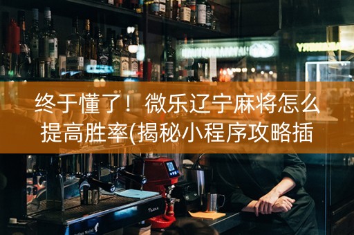 终于懂了！微乐辽宁麻将怎么提高胜率(揭秘小程序攻略插件)