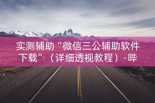 实测辅助“微信三公辅助软件下载”（详细透视教程）-哔哩哔哩