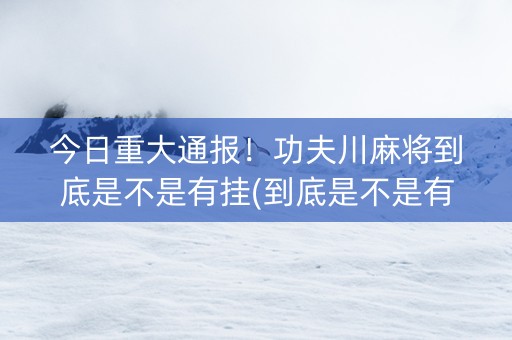 今日重大通报！功夫川麻将到底是不是有挂(到底是不是有挂)
