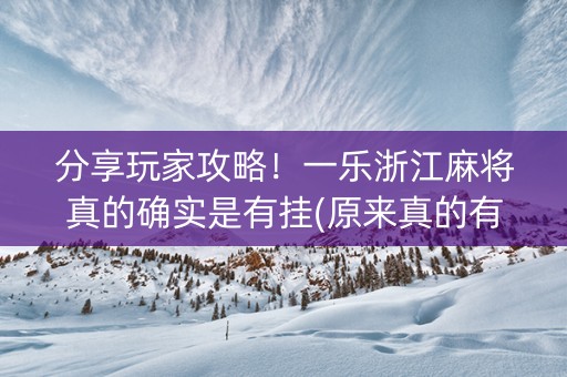 分享玩家攻略！一乐浙江麻将真的确实是有挂(原来真的有挂)