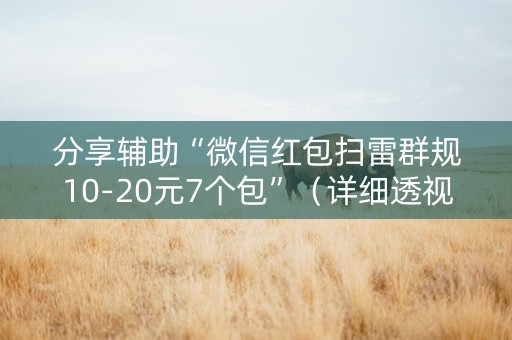 分享辅助“微信红包扫雷群规10-20元7个包”（详细透视教程）-哔哩哔哩